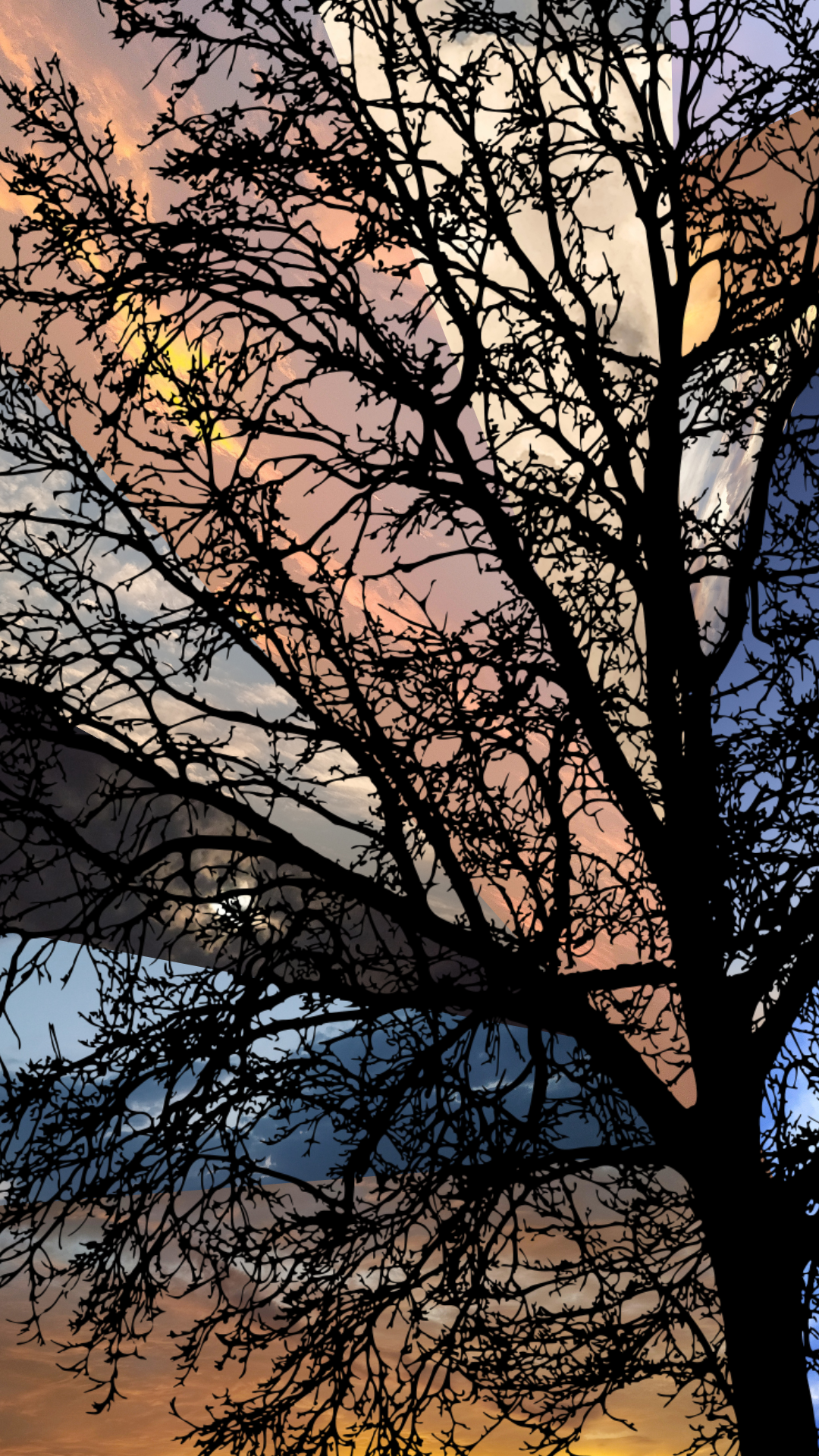 Celestial Mosaic